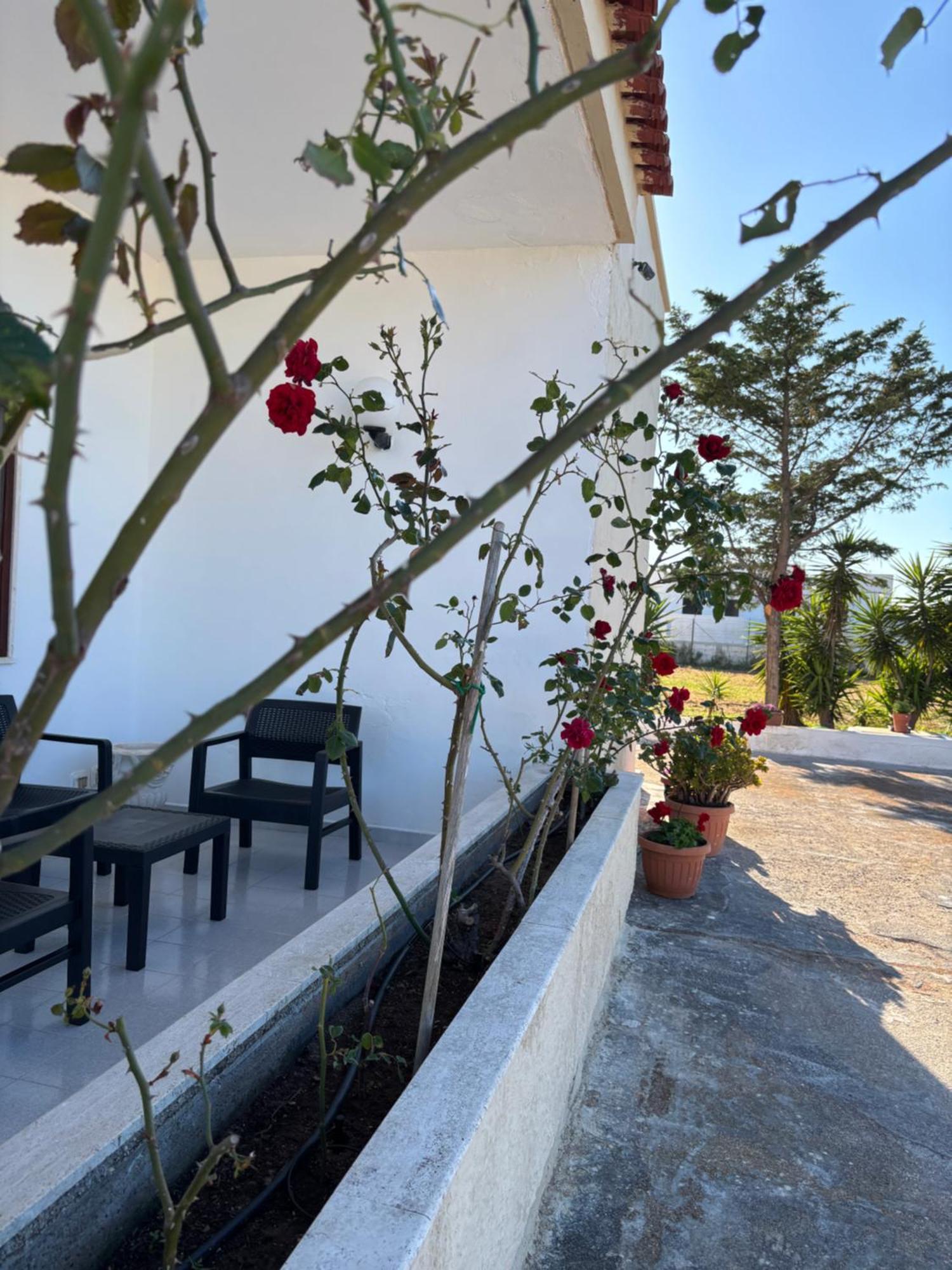 Lilly'S House Villa Торе Санта Сабина Екстериор снимка